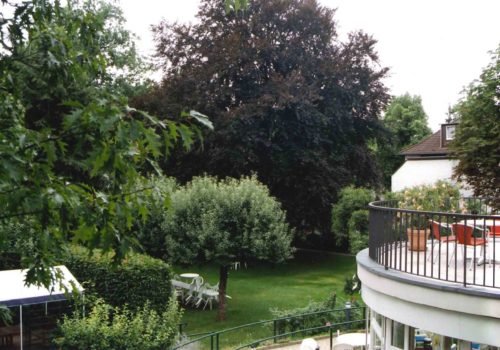 Blick auf die Bäume im Garten der Villa Donnersmarck