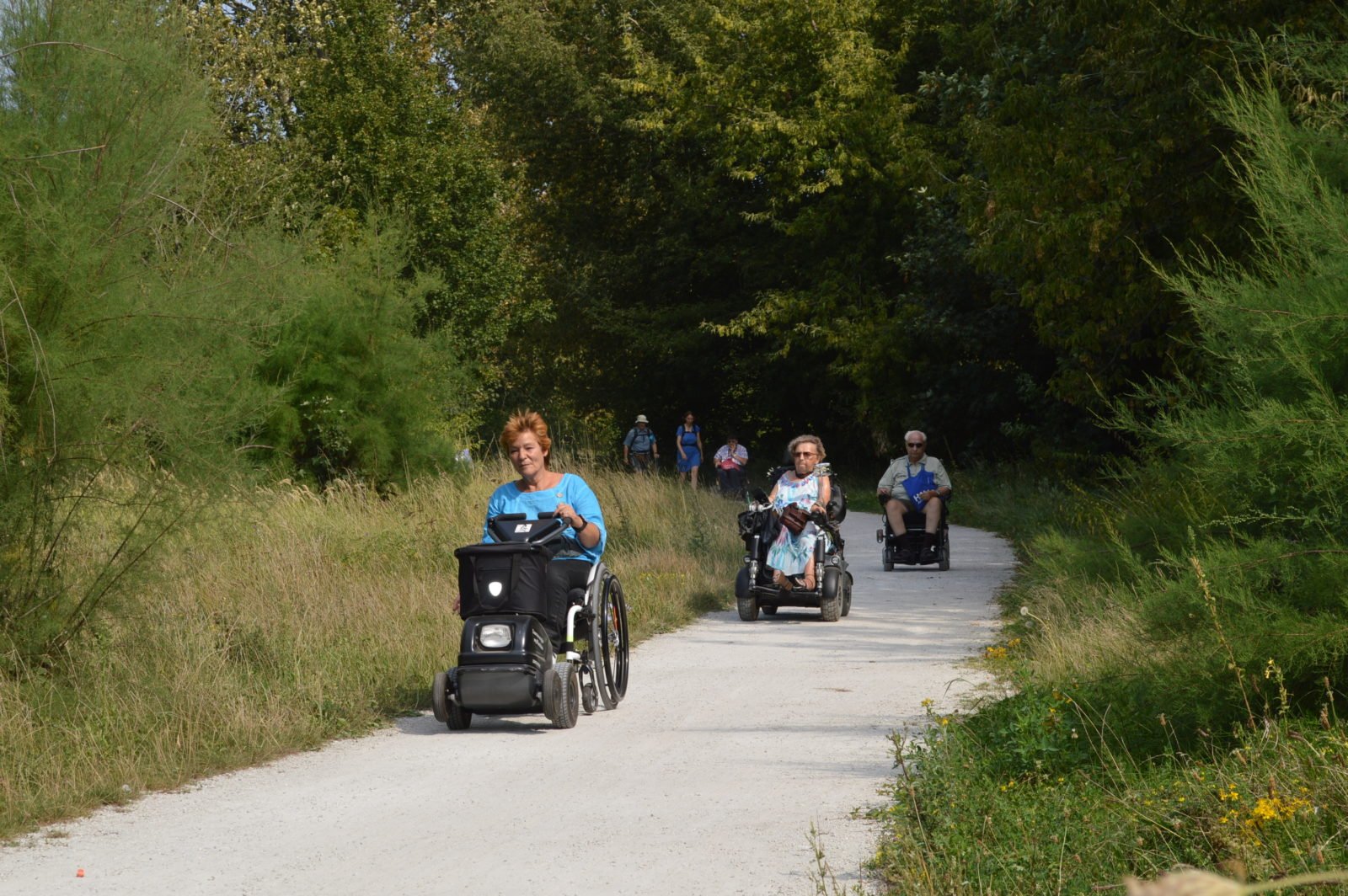 Rollstuhlfahrerinnen und Rollstuhlfahrer auf einem Fahrradweg durch das Wuhletal.