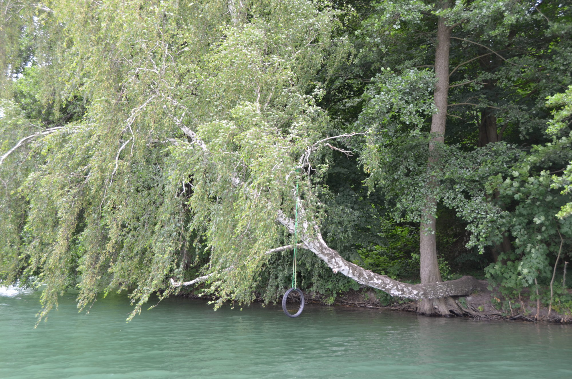 An einem waagerechten Baum der auf den See ragt hängt ein Reifen an einem Seil. Kinder spielen hier häufig.