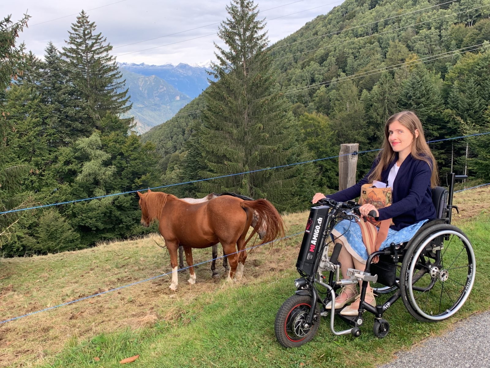 Adina steht mit ihrem Rollstuhl inklusive Zuggerät in den Bergen. Vor ihr stehen zwei Pferde auf der Weide.