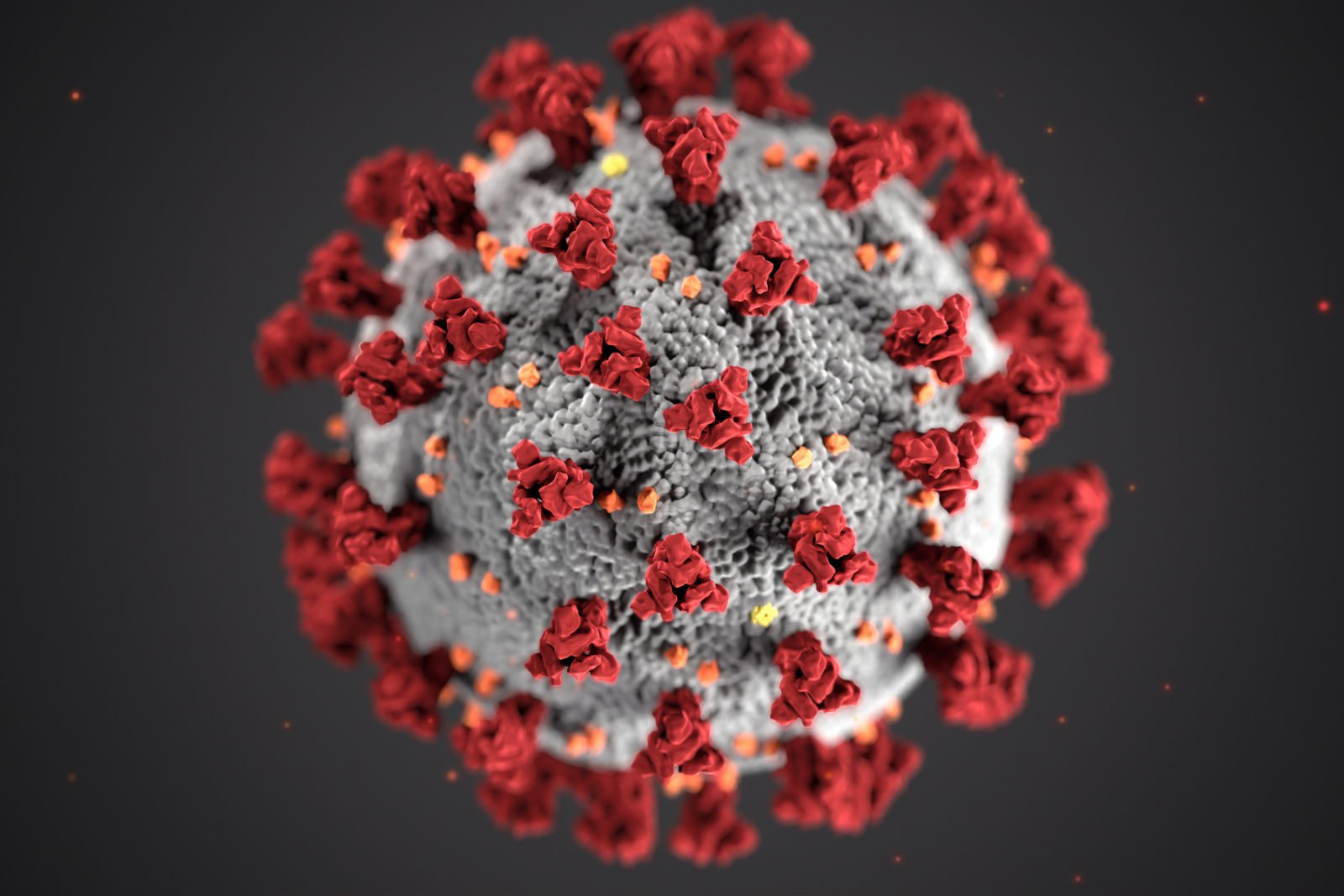 Grafische Darstellung des Coronavirus.
